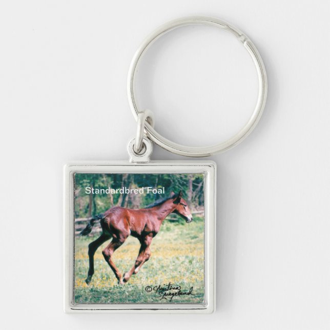 Young standardbred foal galloping Keychain (Front)