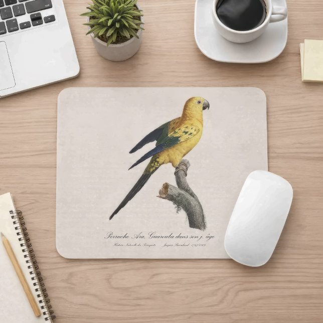 Young Sun Parakeet or Conure Aratinga solstitialis Mouse Pad (Guarouba dans sons jeune age / Sun parakeet. Mouse Pad)