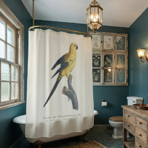 Young Sun Parakeet or Conure Aratinga solstitialis Shower Curtain