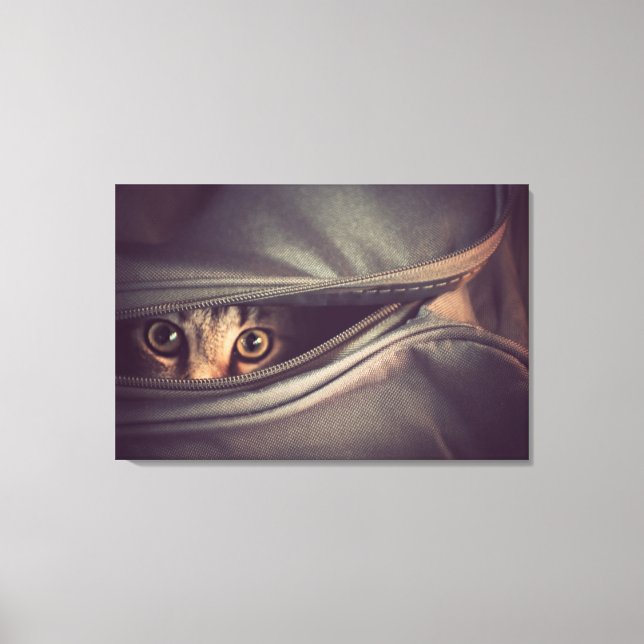 Young Tabby Kitten Canvas Print (Front)