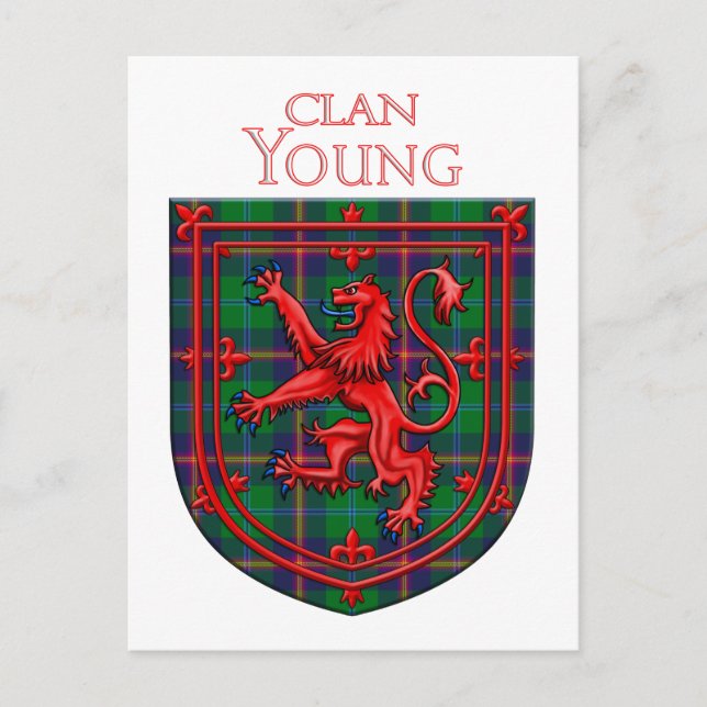 Young Tartan Scottish Plaid Lion Rampant Postcard (Front)
