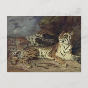 Young tiger playing with his mother, 1830 (oil on postcard