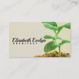 Young Tree Plant Business Card