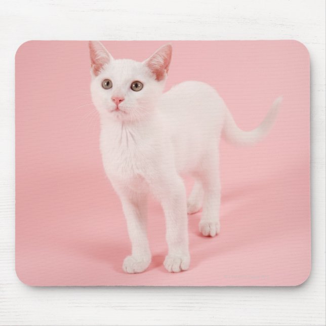 Young white cat 2 mouse pad (Front)