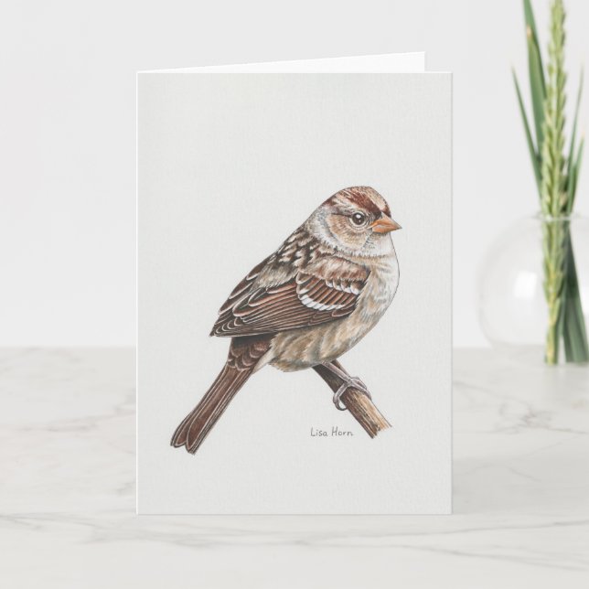 Young White-crowned Sparrow Art Card (Front)