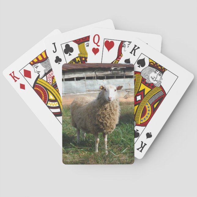 Young White Sheep on the Farm Playing Cards (Back)