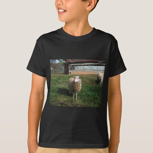Young White Sheep on the Farm T-Shirt (Front)