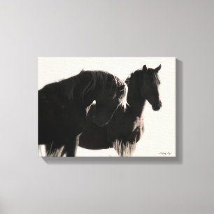 Young Wild Stallions Canvas Print