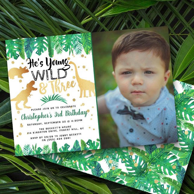 Young Wild & Three Dinosaur Boy 3rd Birthday Photo Invitation (Creator Uploaded)