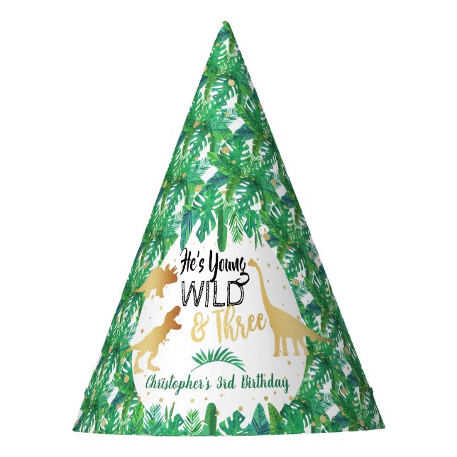 Young Wild & Three Dinosaur Boys Third Birthday Party Hat (Front)