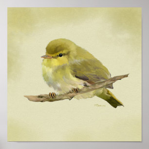 Young Wood Warbler Poster