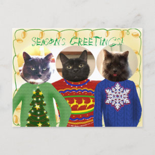 Your 3 Cats in Ugly Christmas Postcard