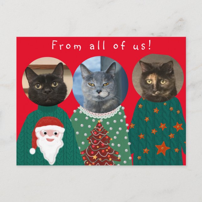 Your 3 Cats in Ugly Christmas Sweaters Postcard (Front)
