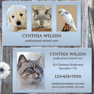 Your 4 Photos Animal Clinic or Care Dusty Blue Business Card