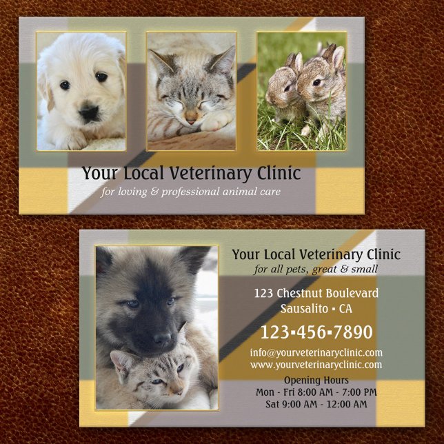 Your 4 Photos Animal or Veterinary Clinic Business Card (Creator Uploaded)
