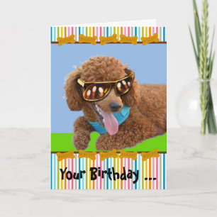 Your Birthday is Hot with Red Poodle in Shades Card