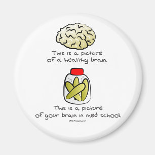 Your brain in Med School Magnet