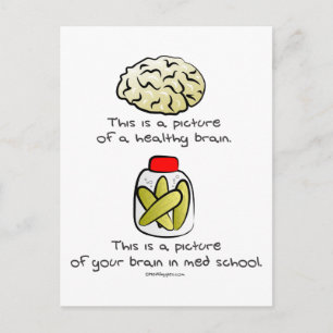 Your brain in Med School Postcard