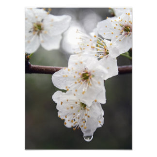 Your Custom 12" x 16" Photo Enlargement