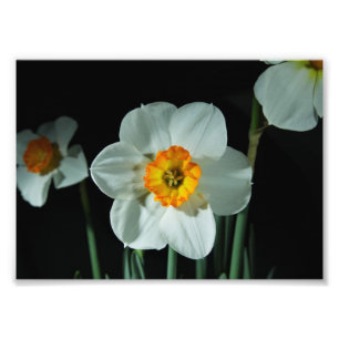 Your Custom 7" x 5" Photo Enlargement Print