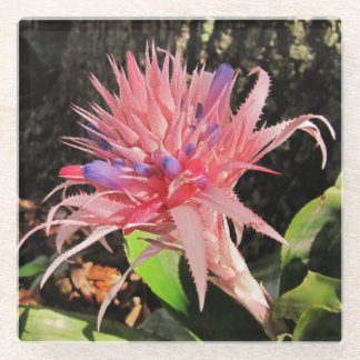 Your Custom Glass Coaster