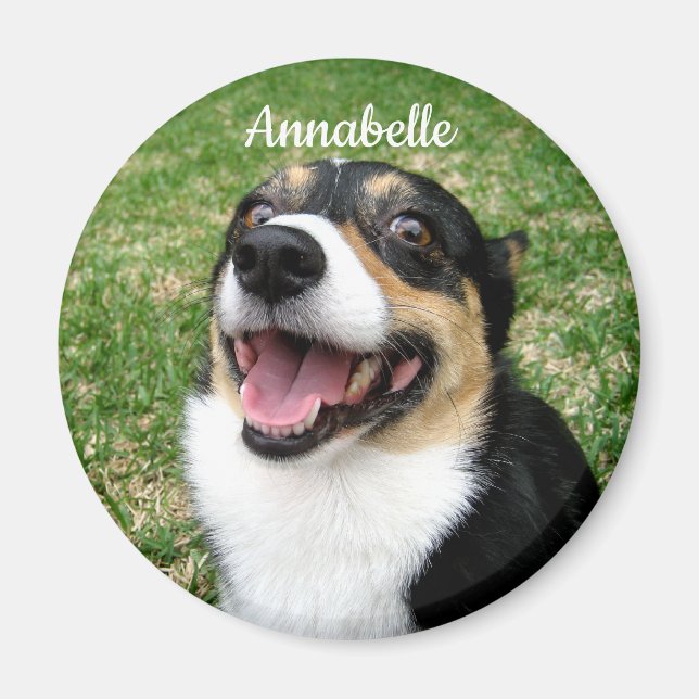 Your Custom Pet Photo Add Your Dog Here Magnet (Front)