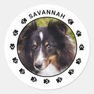 Your Custom Pet Photo With Name & Paws Classic Round Sticker