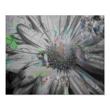 "Your Daily Flower" 8 x 10 poster or download