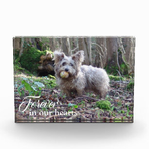 Your Dog Photo Forever in our Hearts Block