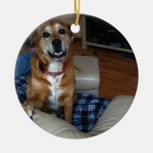 Your doggy on an ornament