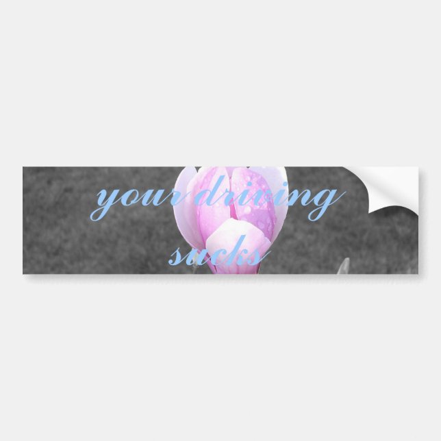 your driving sucks bumper sticker (Front)