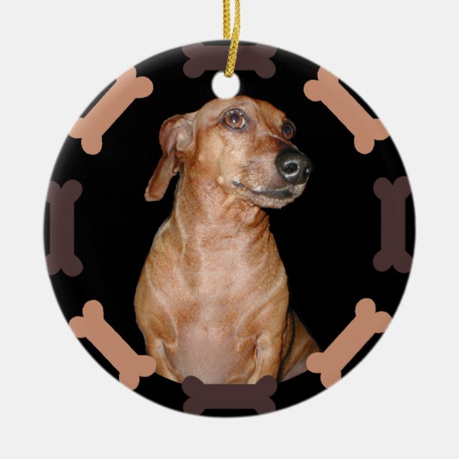 Your Favourite Dog Photo Ornament (Front)