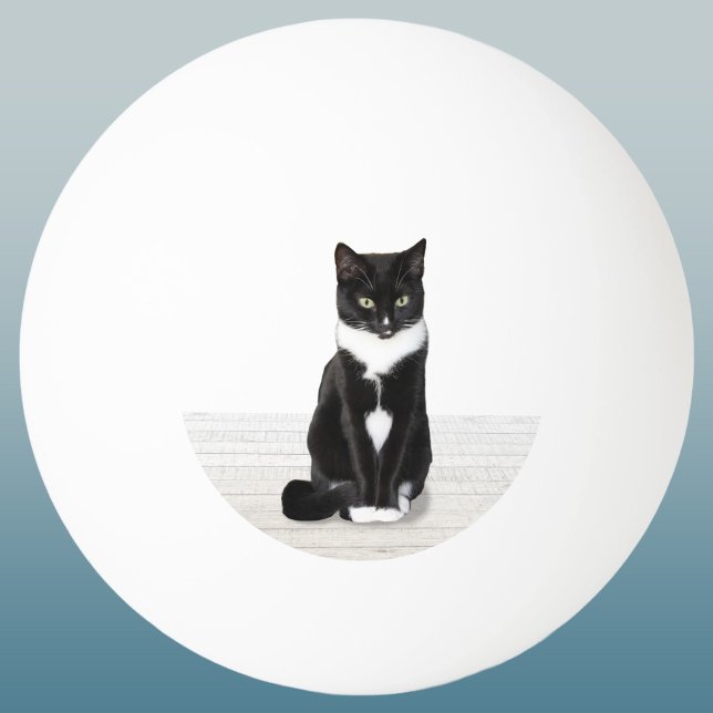 Your Favourite Pet Photo Keepsake Ping Pong Ball (Custom cat photo pet lover ping pong ball)