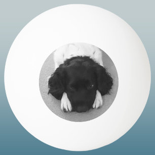 Your Favourite Pet Photo Keepsake Ping Pong Ball