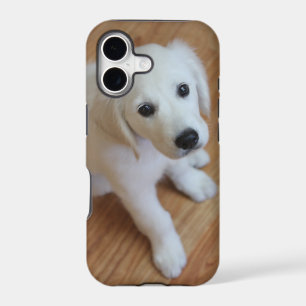 your favourite pet photo on an iphone4 case