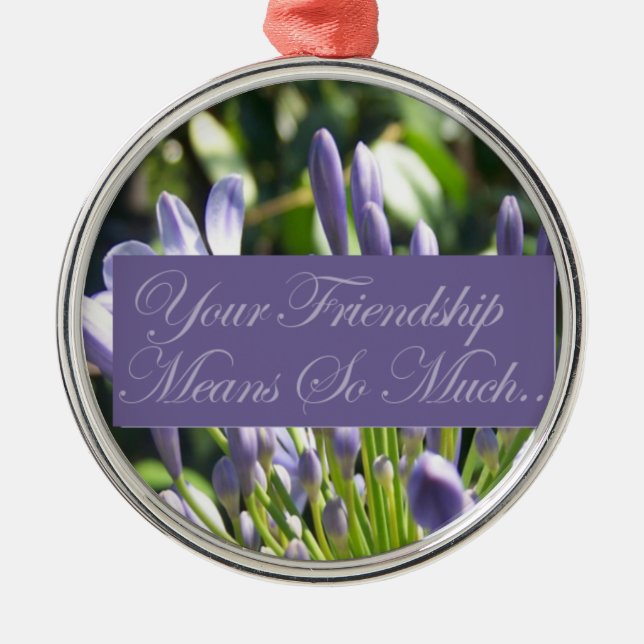 Your Friendship Means So Much Metal Tree Decoration (Front)
