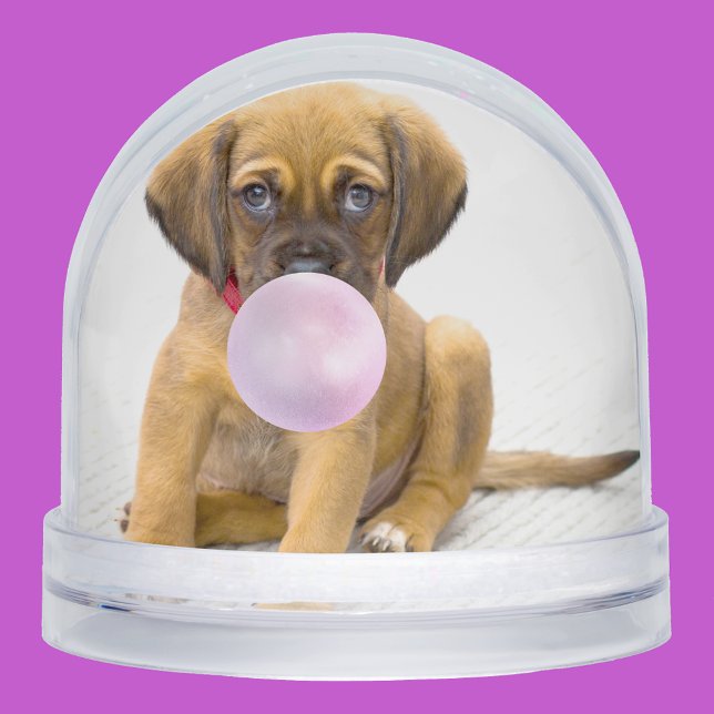 Your Funny Dog Photos, 2 Total Snowglobe (Creator Uploaded)