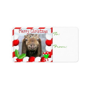 YOUR GOAT PHOTO Goat Christmas Gift Tag