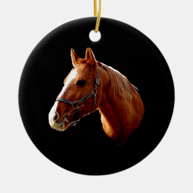 Your Horse - ornament (Front)