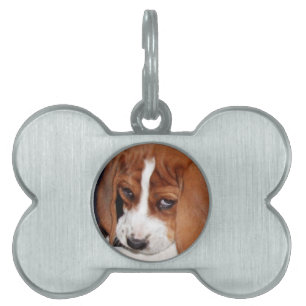 Your Image Here Pet Name Tag