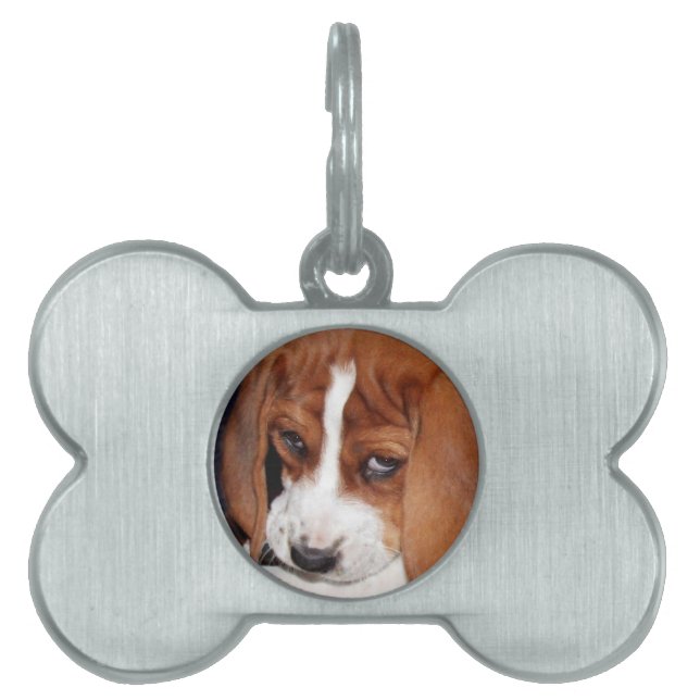 Your Image Here Pet Name Tag (Front)