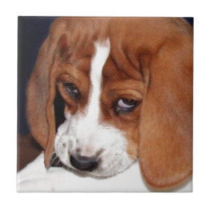 Your Image Here Tile