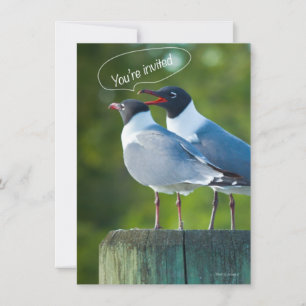 Your Invited Invitation