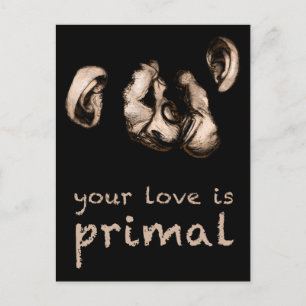 your love is primal : kissing chimps postcard
