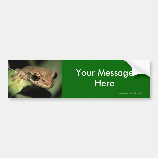 Your Message Bumper Sticker (Front)