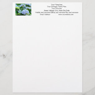 Your Name Letterhead Address Phone Hydrangeas Design