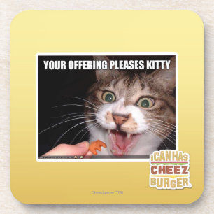 Your Offering Pleases Kitty Coaster