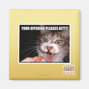 Your Offering Pleases Kitty Magnet