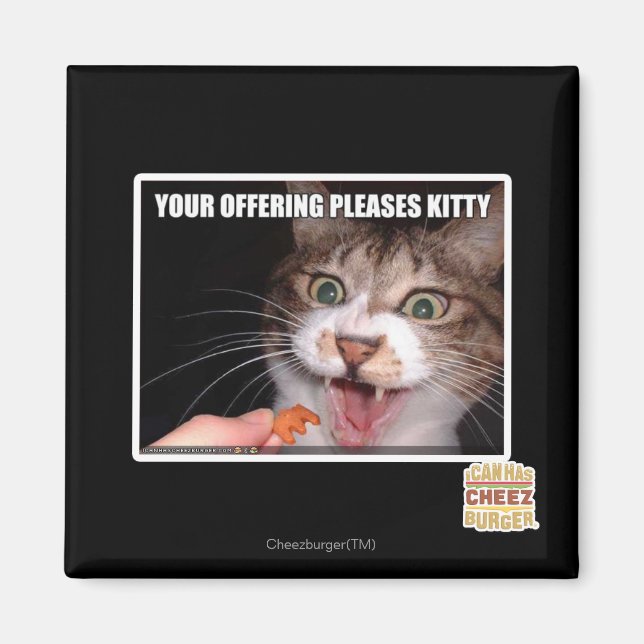 Your Offering Pleases Kitty Magnet (Front)
