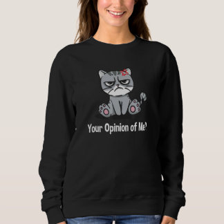 Your Opinion of Me Sarcastic Coworker Sarcasm Offi Sweatshirt
